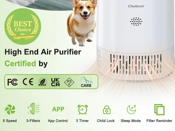 Chuboor Air Purifier for Home Office Bedroom