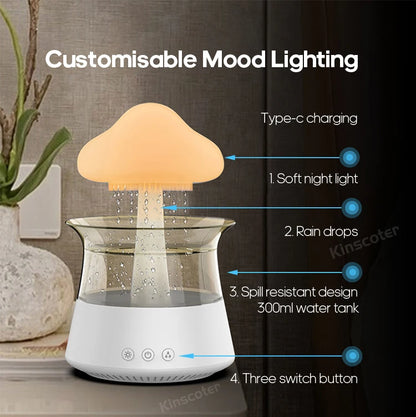 Rain Cloud Electric Air Humidifier 300ml Aroma Diffuser
